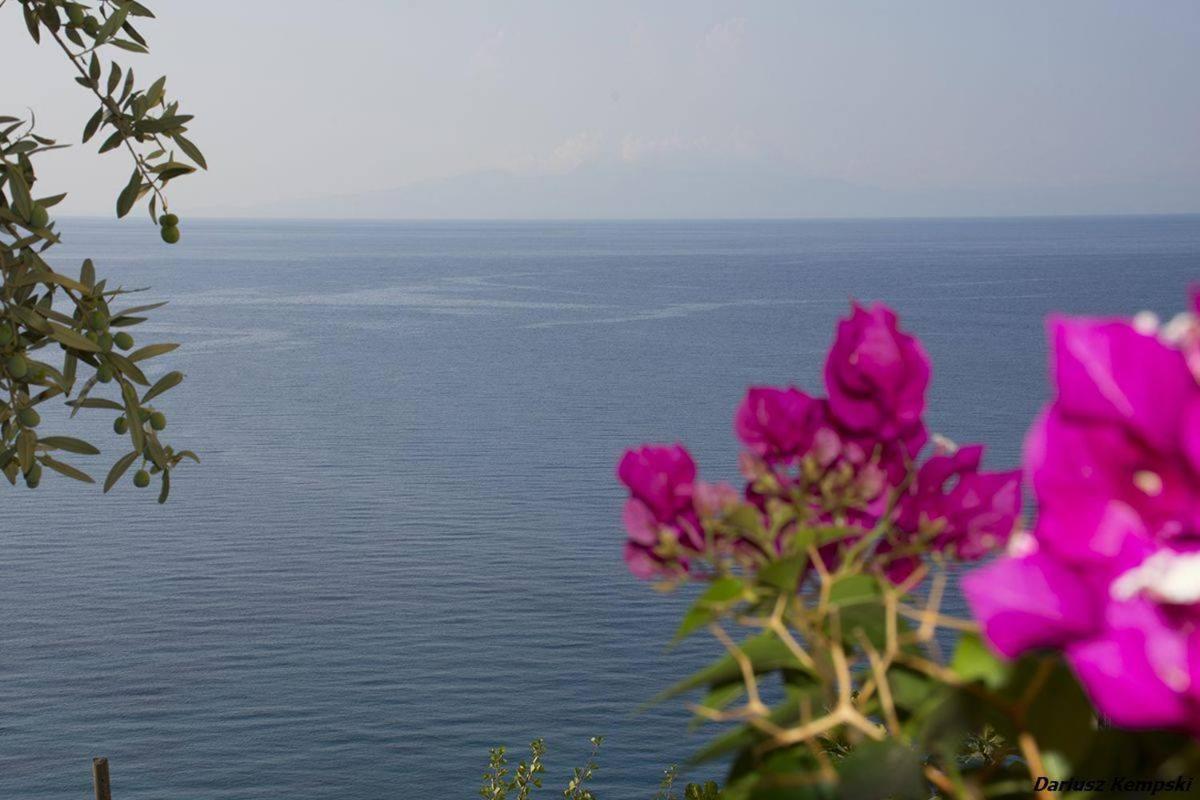Blue View Hotel Qeparo Ngoại thất bức ảnh